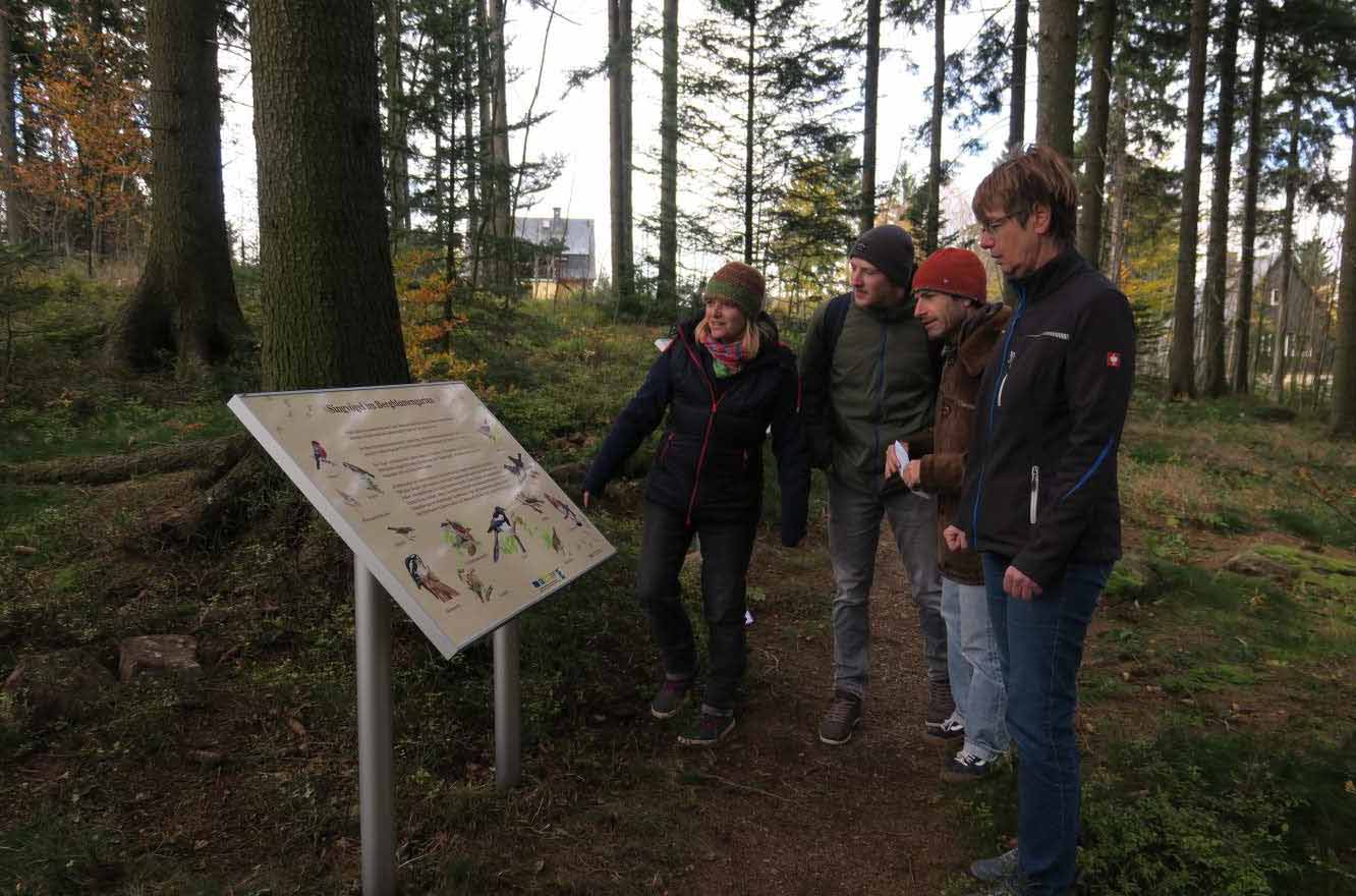 Vier Menschen begutachten eine Informationstafel im Wald.